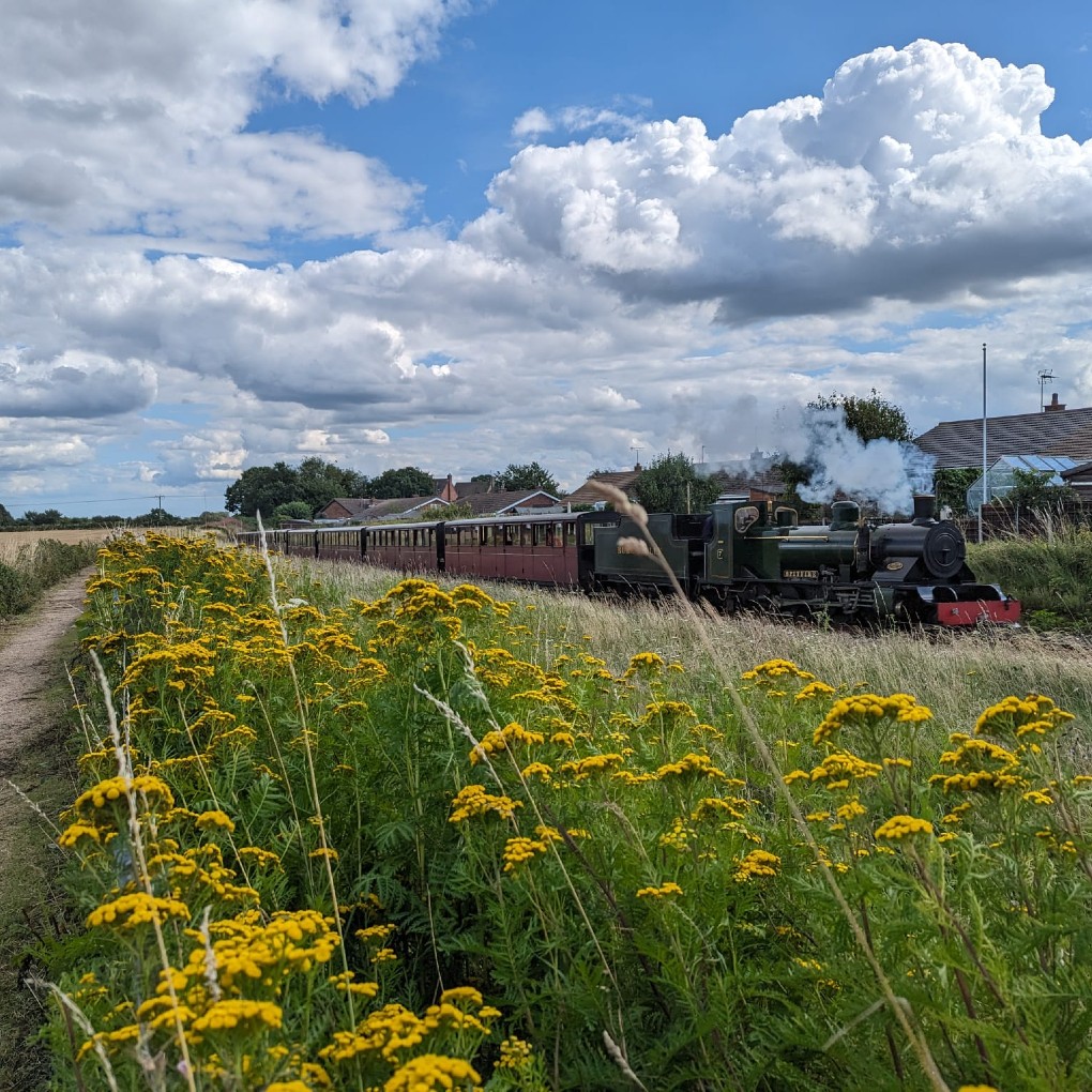 Bure Valley steam train passing through countryside